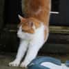 TIMY