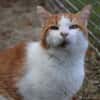 TIMY