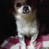 DEBBY