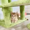 Ingwerfarbiger junger Kater Cornelius