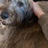 Margrit sucht ein ruhiges Plätzchen
