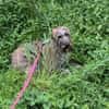 Margrit sucht ein ruhiges Plätzchen