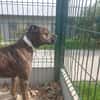 TAYSON QCN
