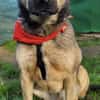 THALIA, freundlich, lieb, ruhig