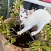 Willow & Jara suchen DICH!