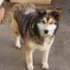 Lexy sucht liebevollen Anschluss