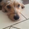 ALOUNA