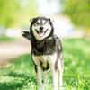 Frohnatur Lina sucht ihre Familie