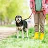 Frohnatur Lina sucht ihre Familie