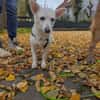 Masha ist so liebenswert und bescheiden!