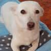 Masha ist so liebenswert und bescheiden!