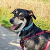 BUZZ  jung, stark und voller Liebe