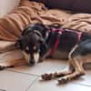 BUZZ  jung, stark und voller Liebe
