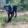 TITOU PAA23081