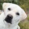 CUTY