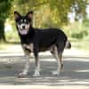 KIMBALOU