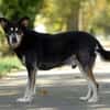KIMBALOU