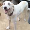 ELMA (Rescate)