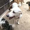 ELMA (Rescate)