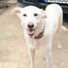 ELMA (Rescate)