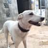 ELMA (Rescate)
