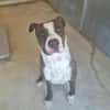 USKO