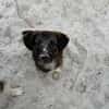 RUNA -zauberhafter Charakter-