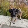 RUNA -zauberhafter Charakter-
