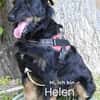 Helen SI, zauberhaftes kleines Mädchen