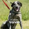 Vanda SI, liebevoll und freundlich