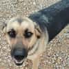 NALA (Rescate)