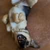 NALA (Rescate)
