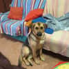 NALA (Rescate)