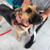 NALA (Rescate)