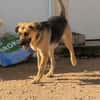 NALA (Rescate)