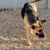 NALA (Rescate)