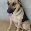 NALA (Rescate)