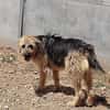OTTO (Rescate)