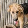 OTTO (Rescate)