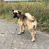 Kleine Lady sucht ihr Für-Immer-Körbchen