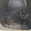SALEM