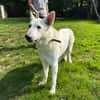 paquito