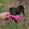 Chico sucht sein Happy End