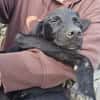Chico sucht sein Happy End