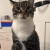 Nami sucht ein liebevolles Zuhause