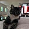 Nami sucht ein liebevolles Zuhause