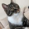 Nami sucht ein liebevolles Zuhause
