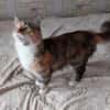 Eine Prinzessin sucht zu Hause