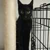 Apollo sucht DICH!