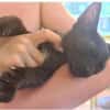 Apollo sucht DICH!